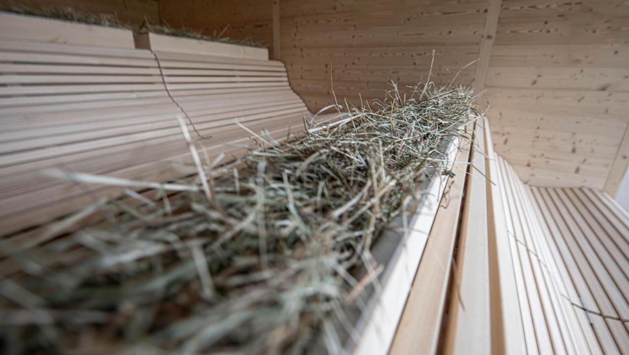 Inns Holz Улрихсберг Екстериор снимка